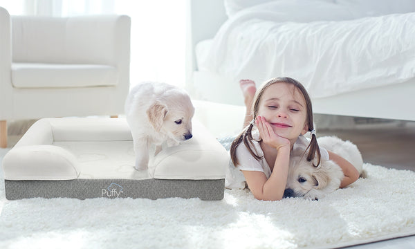http://puffy.com/cdn/shop/articles/how-to-choose-the-perfect-washable-dog-bed-for-your-pup-s-comfort-10_600x.jpg?v=1619681555