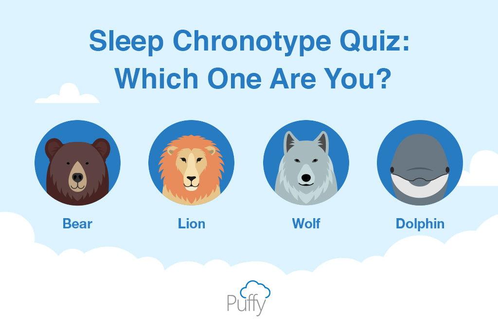 Sleep Chronotype Quiz : Bear, Dolphin, Wolf Or Lion?
