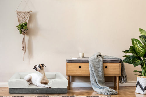 How Dog Beds Can Help Your Pup With Restless Sleep