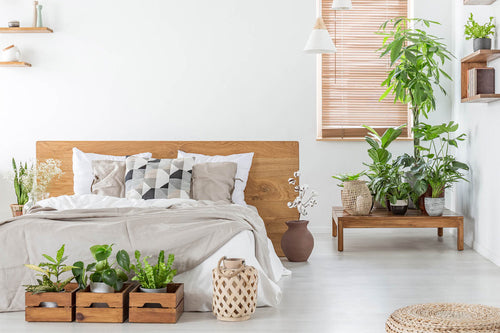 The Best And Worst Indoor Plants For Your Bedroom