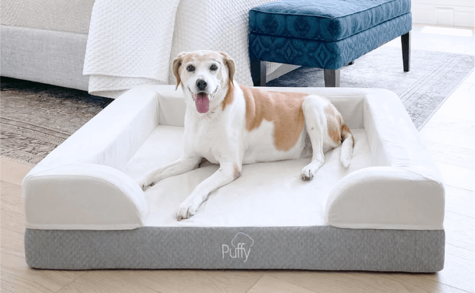 https://puffy.com/cdn/shop/files/pdp-puffy-dog-bed-image-2-d.png?v=6333734458491981156