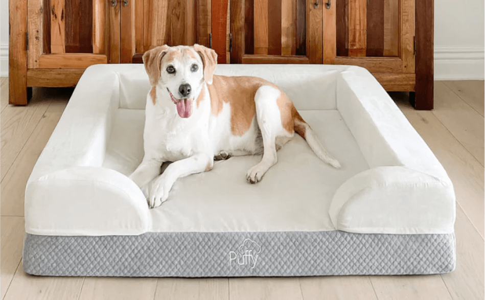 Puffy Dog Bed - Medium - (36W x 28.5L x 9H)