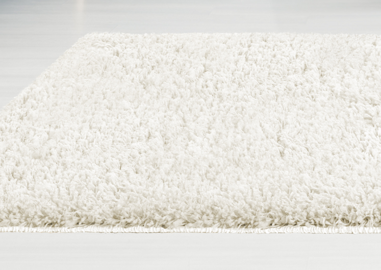 LELINTA Large Fluffy Area Rugs Soft Shaggy Carpet Algeria